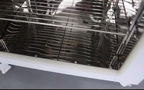 帝龍廠家批發(fā)供應(yīng)工業(yè)專用干燥箱哪個(gè)牌子好精密烘箱